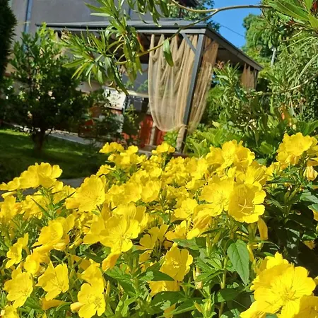 Guest house Dom Zaharievi Byala (Varna)