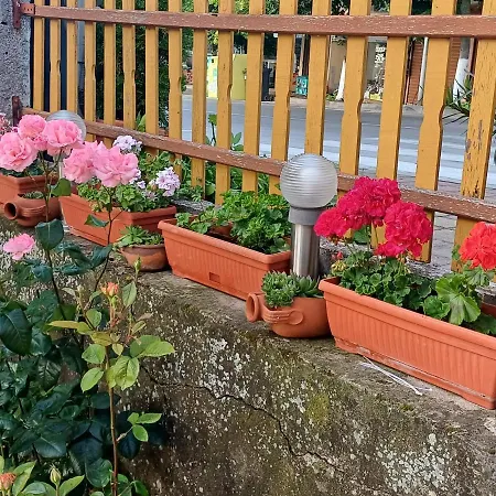 Guest house Dom Zaharievi Byala (Varna)