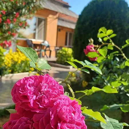 Guest house Dom Zaharievi