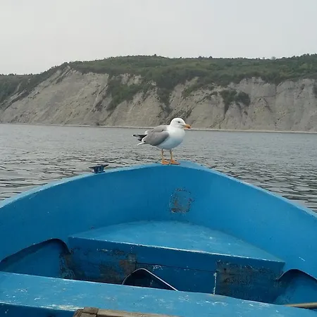 Guest house Dom Zaharievi *