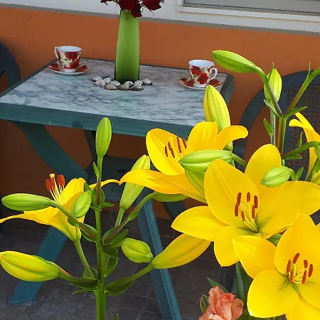 Dom Zaharievi Guest house *