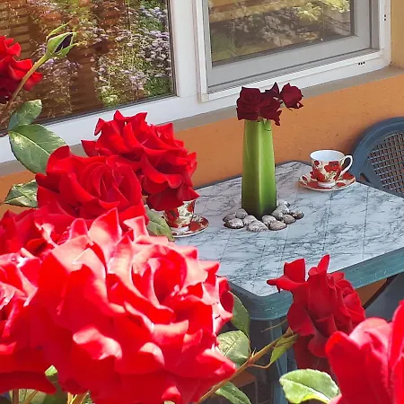 Dom Zaharievi Byala (Varna)