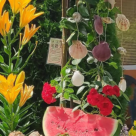 Dom Zaharievi Byala (Varna)