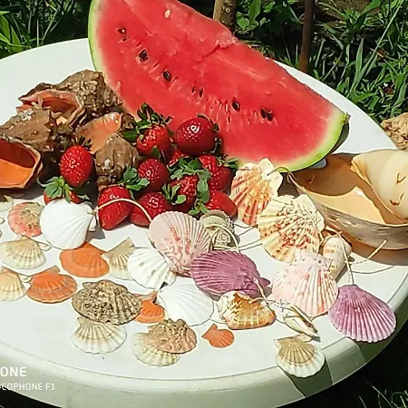 Guest house Dom Zaharievi Byala (Varna)