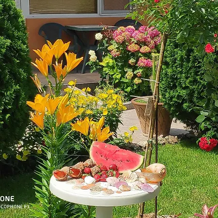 Dom Zaharievi Guest house