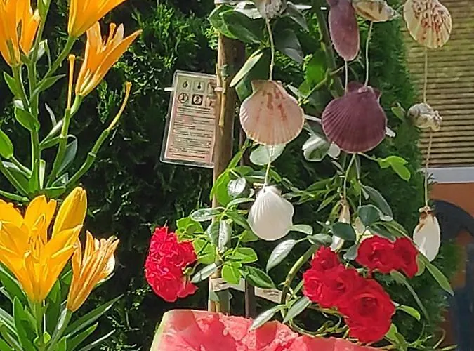 Dom Zaharievi Byala (Varna)