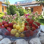 Dom Zaharievi Gæstehus Byala (Varna)