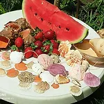 Gæstehus Dom Zaharievi Byala (Varna)