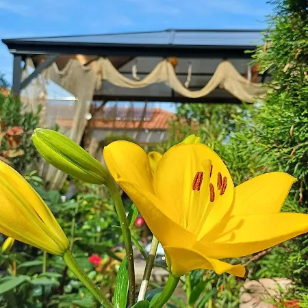 Dom Zaharievi Pensión