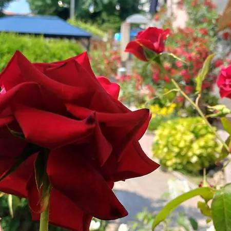 Dom Zaharievi Pensión Byala (Varna)