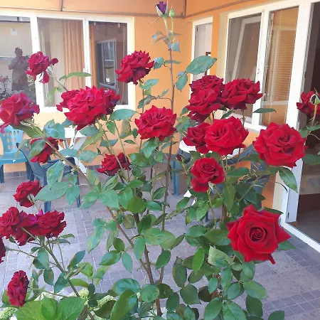 Dom Zaharievi Byala (Varna)