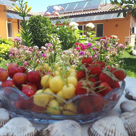 Dom Zaharievi Pensión Byala (Varna)