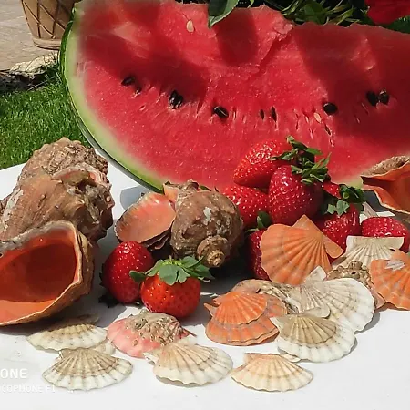 Pensión Dom Zaharievi *