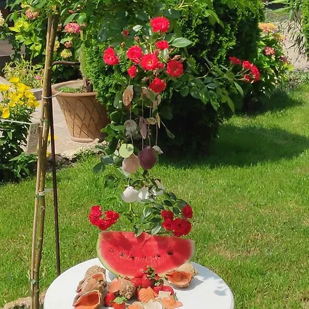 Pensión Dom Zaharievi