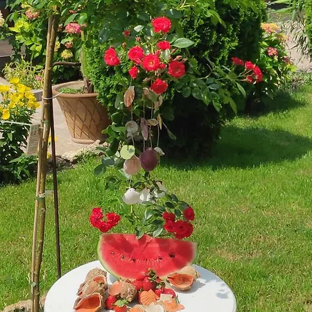 Guest house Dom Zaharievi