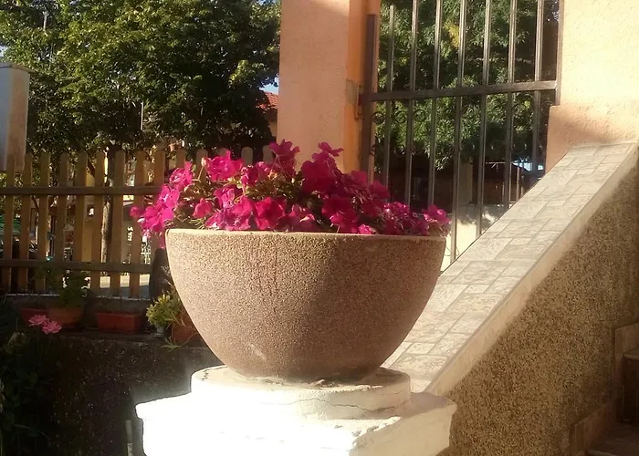 Dom Zaharievi