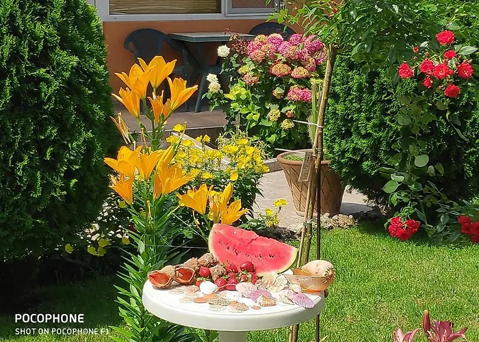 Dom Zaharievi Gæstehus