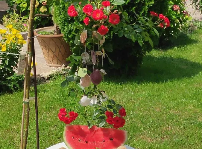 Gæstehus Dom Zaharievi